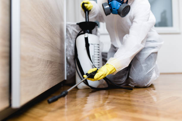 Best Pest Inspection Near Me  in Windham, OH