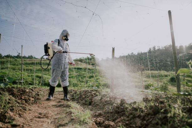 Best Local Pest Control Services  in Windham, OH