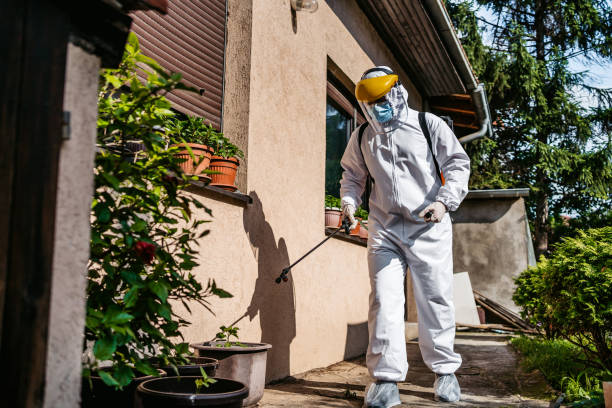 Best Mosquito Control Services  in Windham, OH