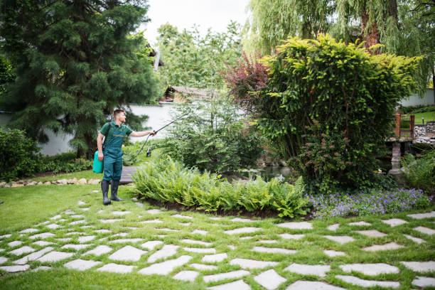 Best Pest Prevention Services  in Windham, OH