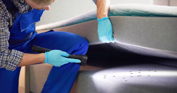 Best Affordable Pest Control Services  in Windham, OH