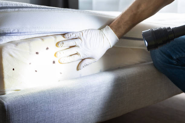 Best Pest Removal Services  in Windham, OH