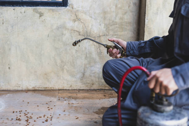 Best Affordable Pest Control Services  in Windham, OH