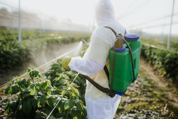 Pest Prevention Services in Windham, OH